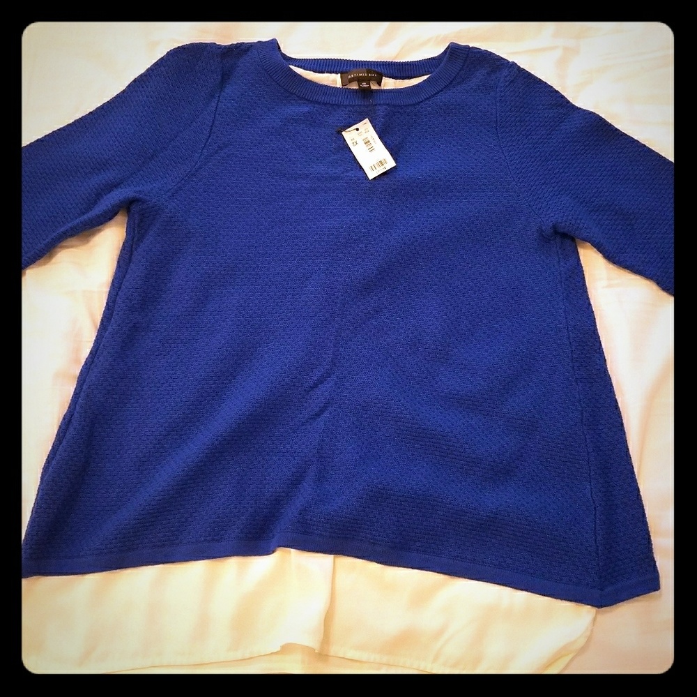 The Limited Royal Blue Sweater
